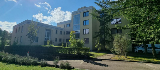 Riesige Gartenwohnung mit Potenzial