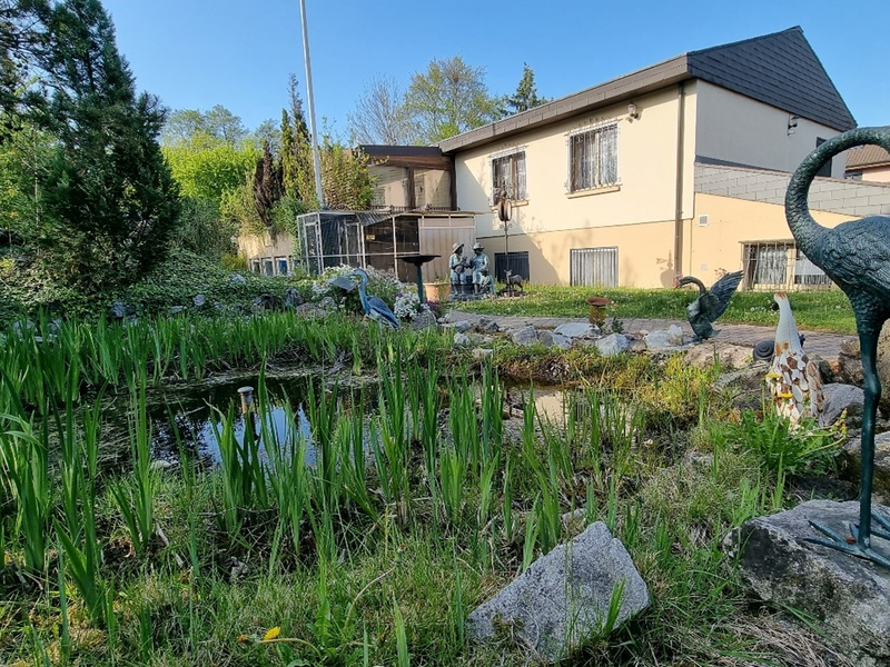 Zweifamilienhaus mit grossem Grundstück an Super Lage!