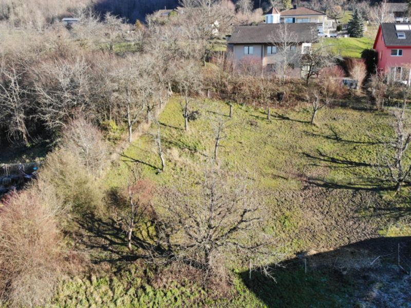 Aussichtslage in mitten der Natur!